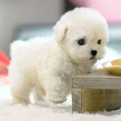 Pluizige Robotpuppy Speelgoed