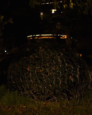 Solar visnetverlichting